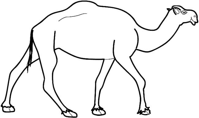 骆驼简笔画动物 骆驼动物简笔画步骤图片大全