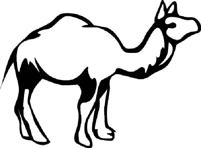 骆驼简笔画动物 骆驼动物简笔画步骤图片大全二
