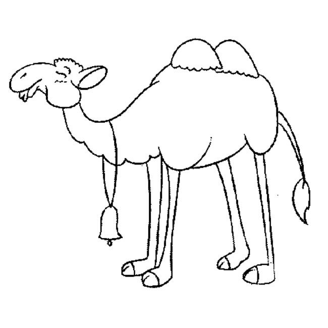 双峰骆驼简笔画动物 双峰骆驼动物简笔画步骤图片大全二