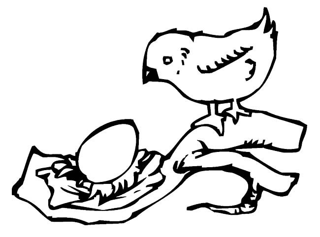 小鸟和蛋简笔画动物 小鸟和蛋动物简笔画步骤图片大全