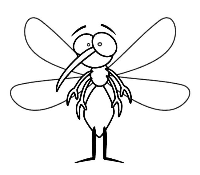 卡通蚊子简笔画动物 卡通蚊子动物简笔画步骤图片大全