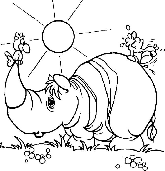 晒太阳的犀牛简笔画动物 晒太阳的犀牛动物简笔画步骤图片大全