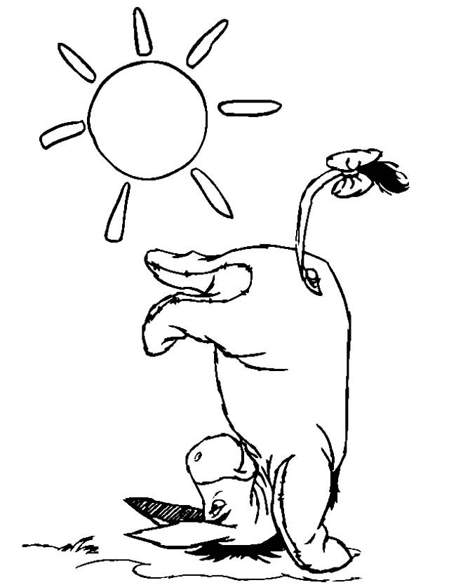 倒立的驴子简笔画动物 倒立的驴子动物简笔画步骤图片大全