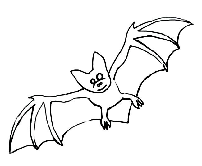 儿童简笔画 蝙蝠简笔画图片 蝙蝠动物简笔画步骤图片大全