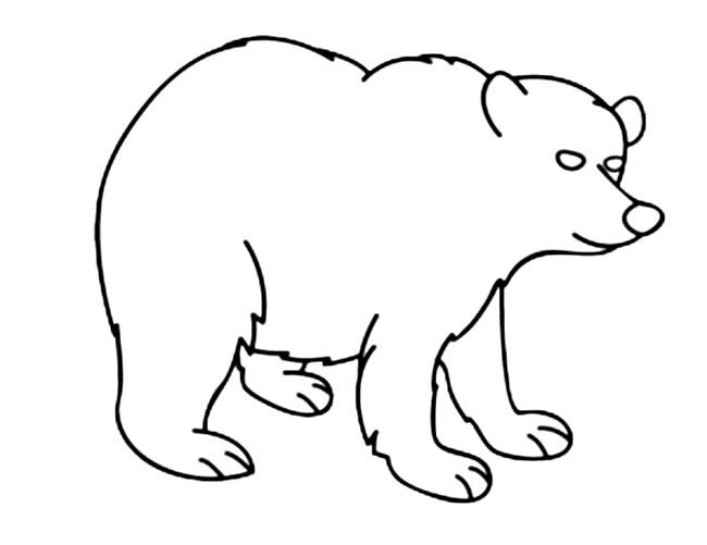 儿童简笔画 北极熊简笔画图片 北极熊动物简笔画步骤图片大全