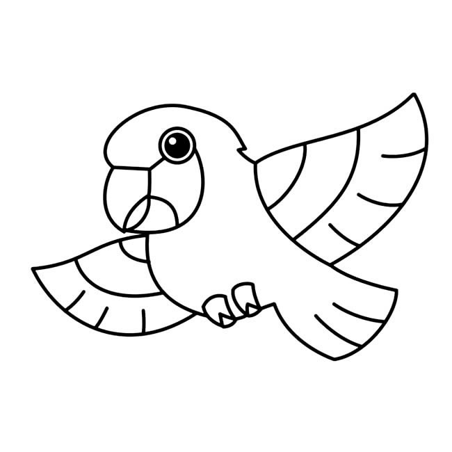儿童简笔画 鹦鹉简笔画图片 鹦鹉动物简笔画步骤图片大全