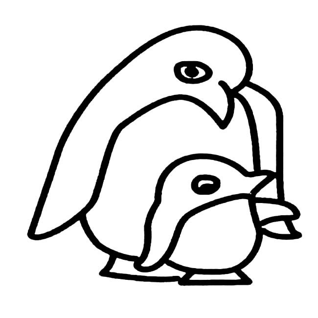 儿童简笔画 企鹅简笔画图片 企鹅动物简笔画步骤图片大全