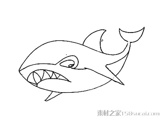 动物简笔画大全 大白鲨简笔画图片大全3
