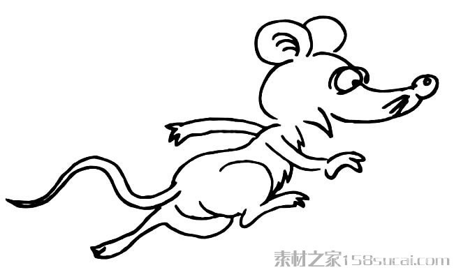 动物简笔画大全 可爱小老鼠简笔画图片大全9