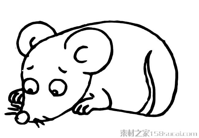 动物简笔画大全 可爱小老鼠简笔画图片大全14