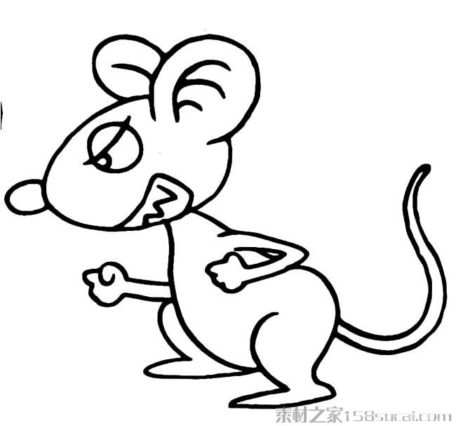 动物简笔画大全 可爱小老鼠简笔画图片大全15