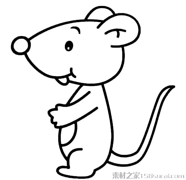动物简笔画大全 可爱小老鼠简笔画图片大全19