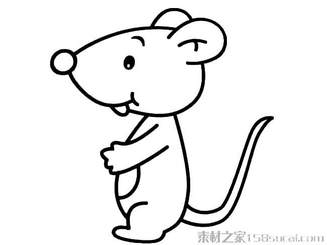 动物简笔画大全 呆萌可爱小老鼠简笔画图片大全22