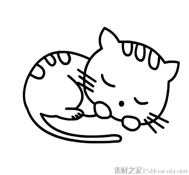 动物简笔画大全 可爱小猫咪简笔画图片大全5