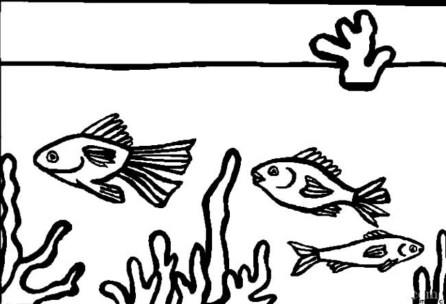 鱼的简笔画 鱼缸里的鱼简笔画图片
