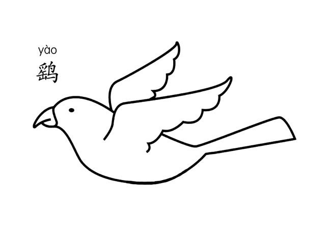 小鸟简笔画 鹞鸟简笔画图片