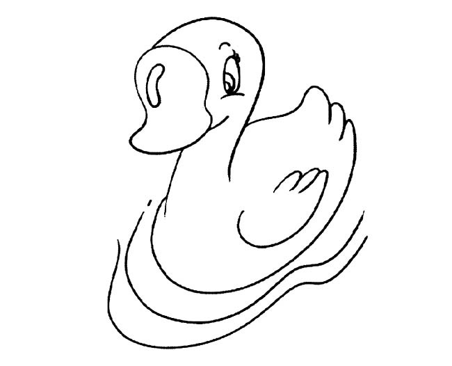 鹅的简笔画 游泳的白鹅简笔画图片