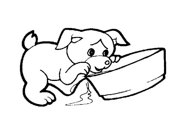 小狗简笔画 喝水的卡通小狗简笔画图片