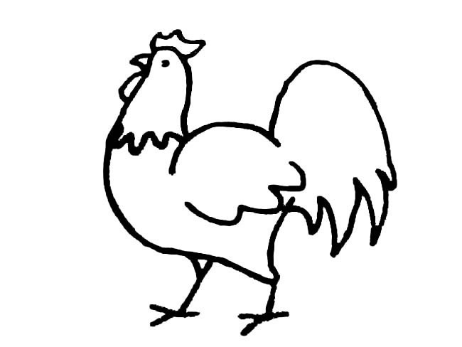 公鸡简笔画 卡通公鸡简笔画图片