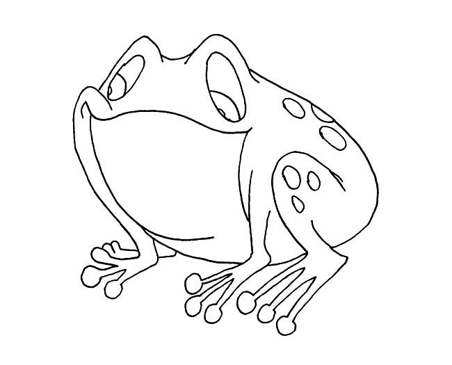 青蛙简笔画 卡通青蛙简笔画图片