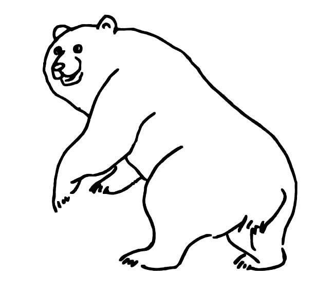 北极熊简笔画 北极熊简笔画图片大全