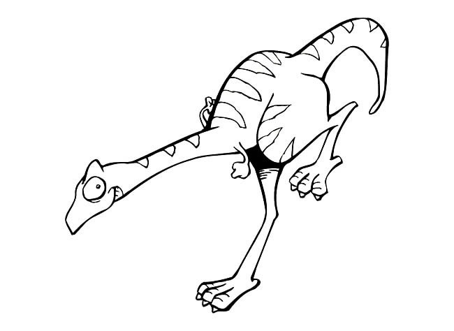 恐龙简笔画 两只脚的恐龙简笔画图片