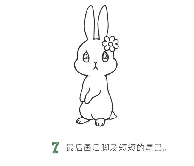 小兔子简笔画图片大全 幼儿小兔子的画法简笔画步骤图解