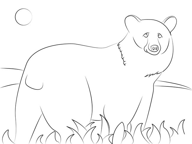 儿童狗熊简笔画图片 夜空下的黑熊