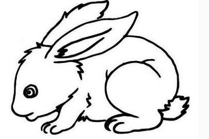 兔子简笔画图片大全 卡通小兔子简笔画如何画