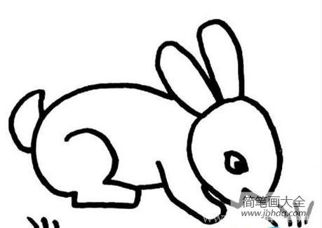 兔子简笔画图片大全 卡通小兔子简笔画如何画