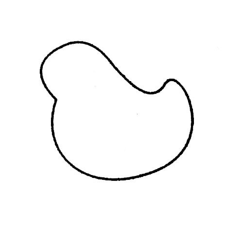 母鸡如何画简笔画图片 母鸡简笔画实例及步骤
