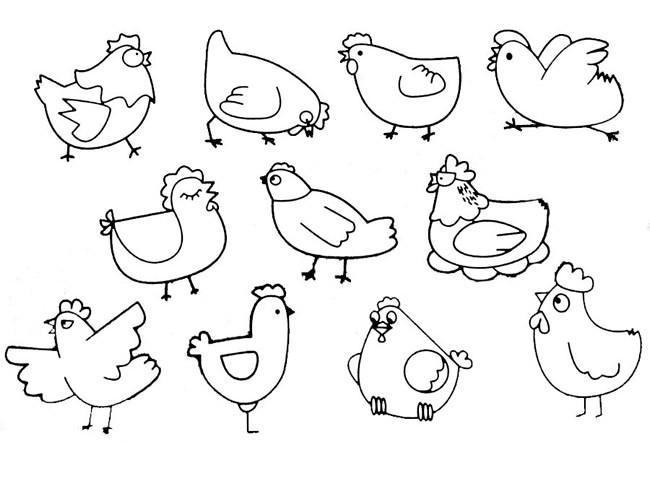 母鸡如何画简笔画图片 母鸡简笔画实例及步骤