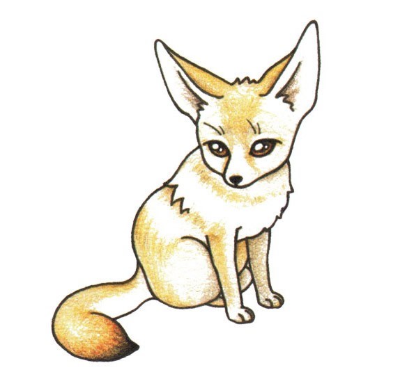 狐狸简笔画彩色图片大全 狐狸简笔画的画法步骤图教程