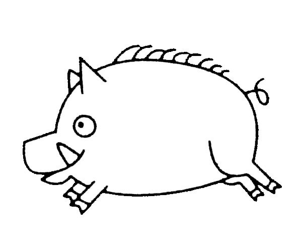 【野猪简笔画】野猪简笔画的画法步骤图
