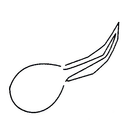 【蝌蚪简笔画】简单蝌蚪简笔画的画法步骤图