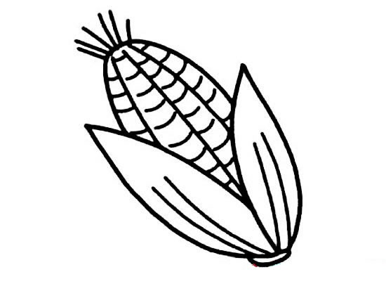 【玉米简笔画】儿童玉米简笔画如何画图片