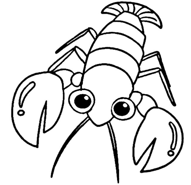 【龙虾简笔画】儿童卡通龙虾简笔画图片大全
