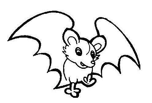 【蝙蝠简笔画】幼儿卡通蝙蝠简笔画如何画图片大全