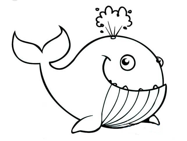 【鲸鱼简笔画】幼儿卡通鲸鱼简笔画图片大全