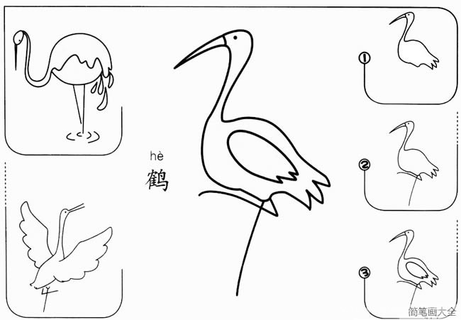 【丹顶鹤简笔画】幼儿丹顶鹤简笔画的画法步骤图教程