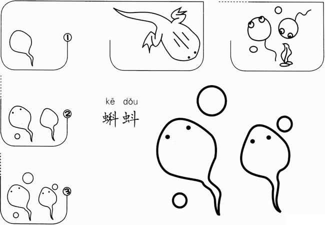 【蝌蚪如何画】最简单的小蝌蚪如何画简笔画图片
