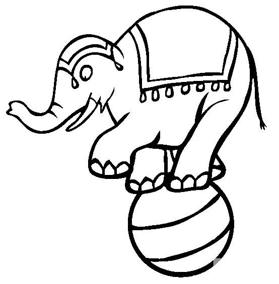 玩皮球的大象简笔画图片大全_动物简笔画