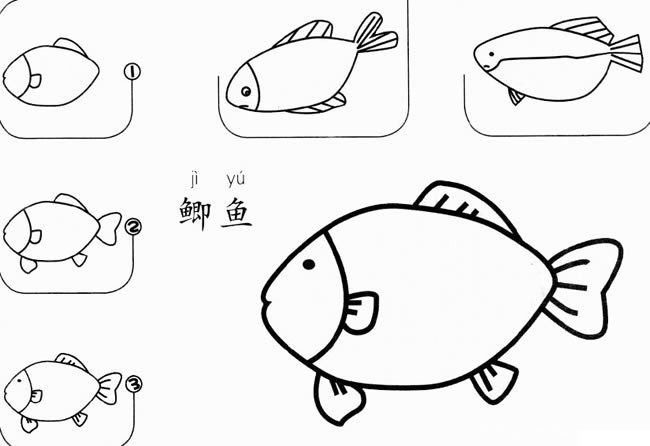 鱼的简笔画 鲫鱼如何画简笔画 鲫鱼的画法步骤图解