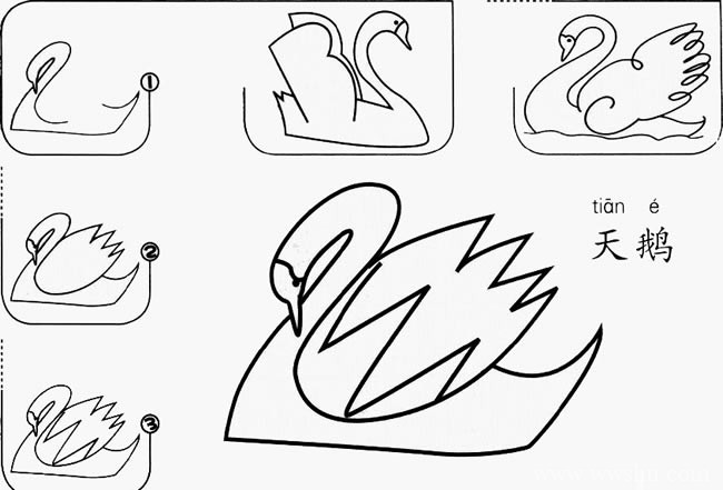 天鹅如何画简笔画图片 白天鹅的简笔画步骤图解教程