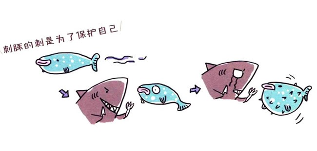 四步画出涂色的刺豚鱼简笔画图片