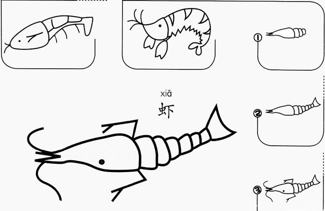 虾如何画简笔画图片大全 儿童画虾的简笔画步骤图解
