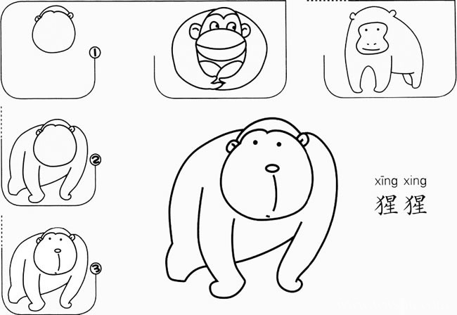 猩猩如何画简笔画图片 幼儿大猩猩简笔画步骤大全