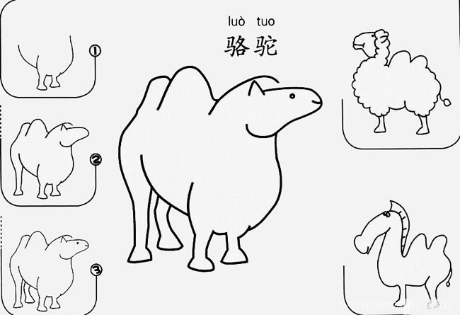 骆驼如何画简笔画图片 儿童画动物骆驼简笔画步骤图大全