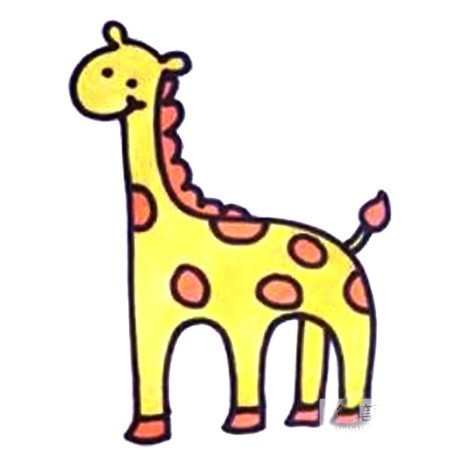 九步画出长颈鹿简笔画彩色图片 儿童画长颈鹿简笔画步骤教程