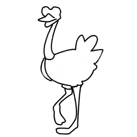 鸵鸟简笔画 幼儿动物简笔画鸵鸟的画法步骤教程